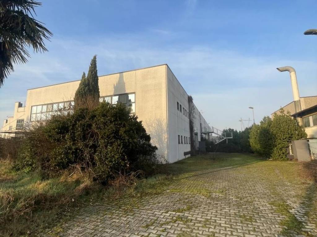 immagine annuncio 2 di 5