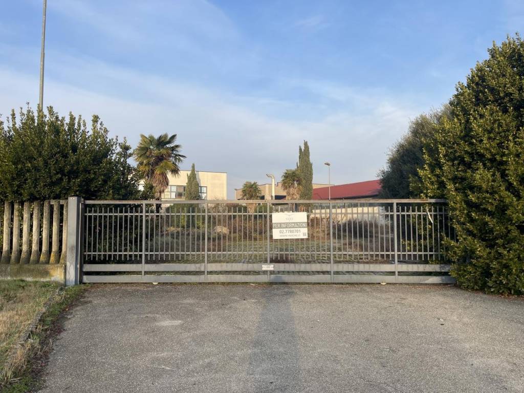 immagine annuncio 4 di 5