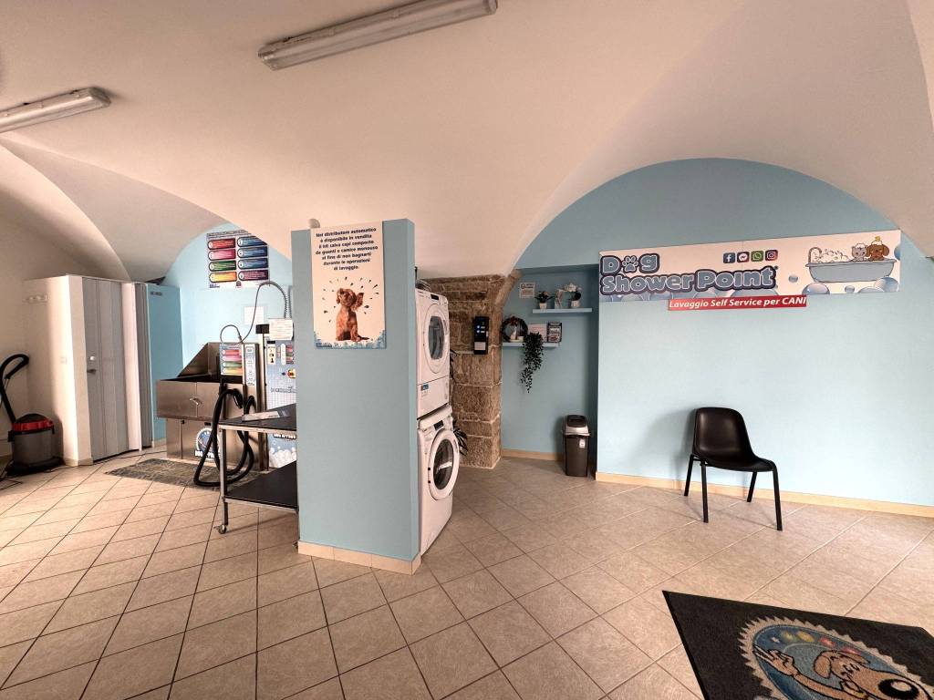 immagine annuncio 2 di 4