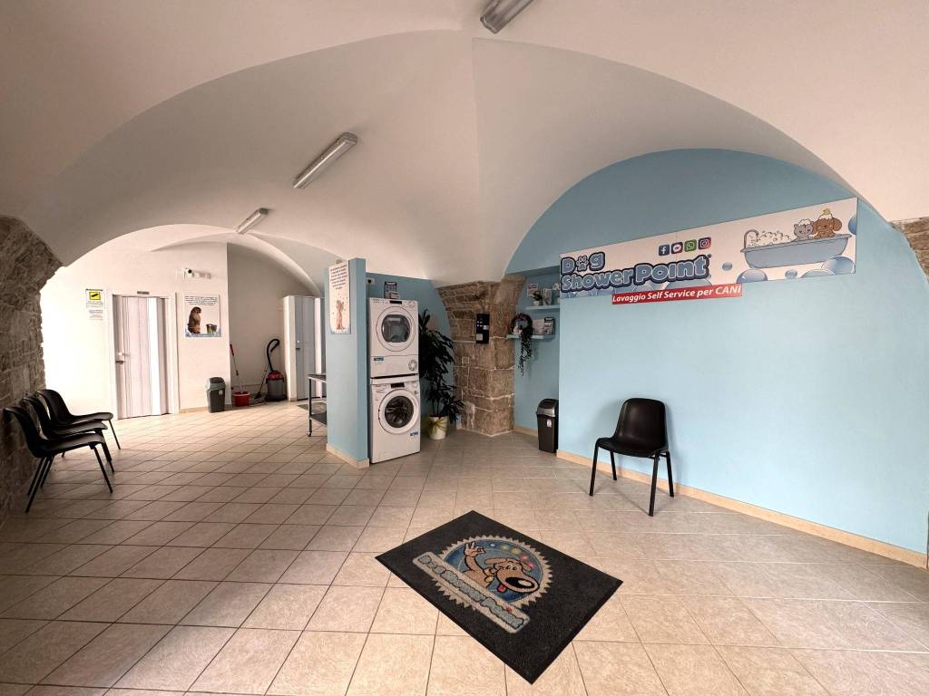 immagine annuncio 1 di 4