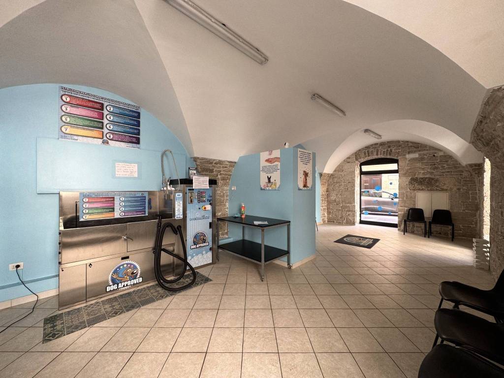 immagine annuncio 3 di 4