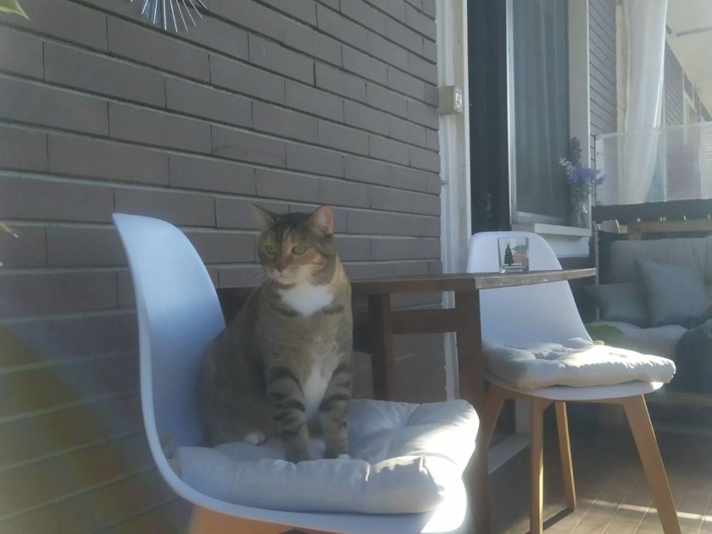 immagine annuncio 2 di 5