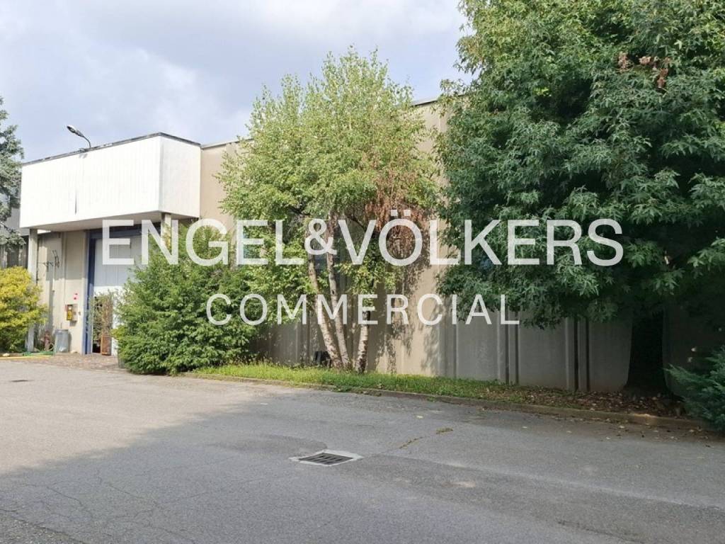 immagine annuncio 3 di 5