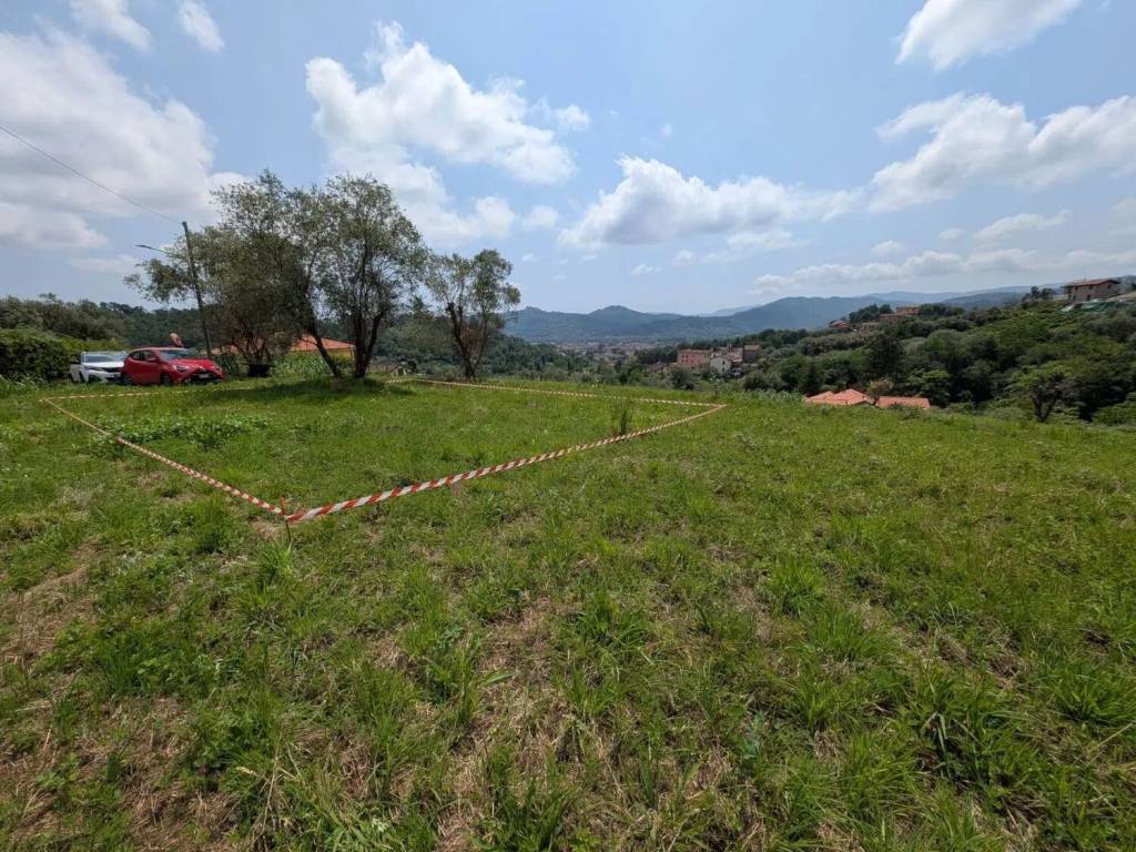 immagine annuncio 0 di 1