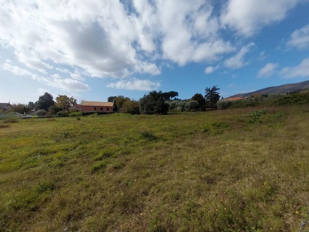 immagine annuncio 1 di 4