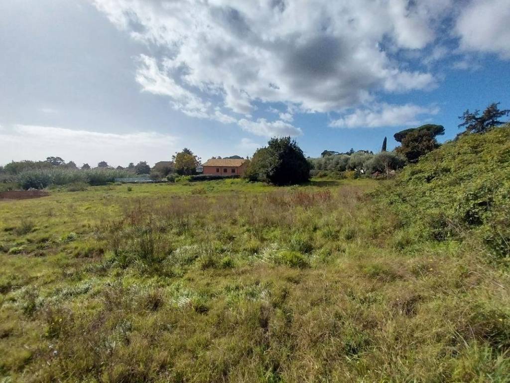 immagine annuncio 2 di 4