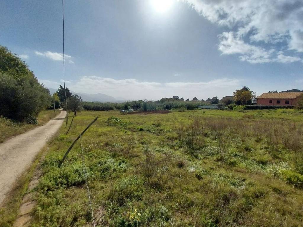 immagine annuncio 3 di 4