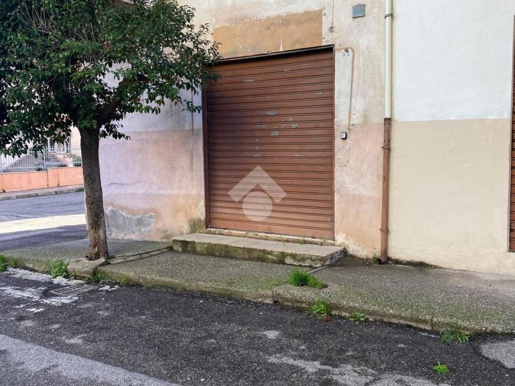 immagine annuncio 1 di 4