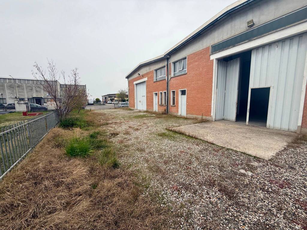 immagine annuncio 1 di 5