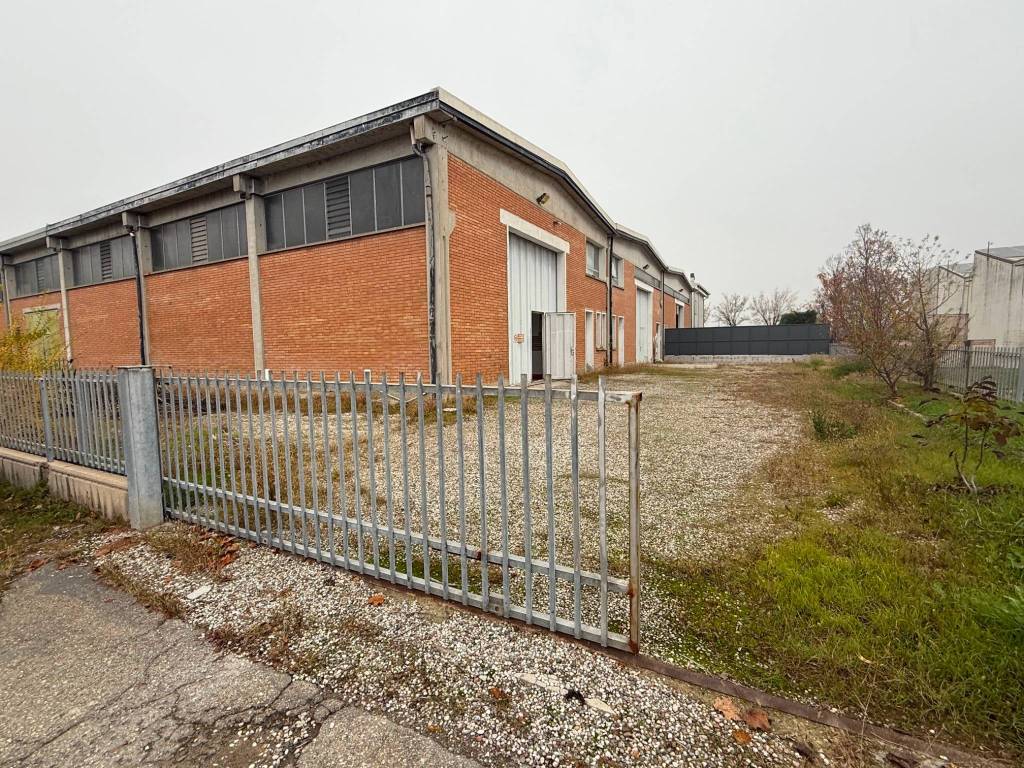 immagine annuncio 3 di 5