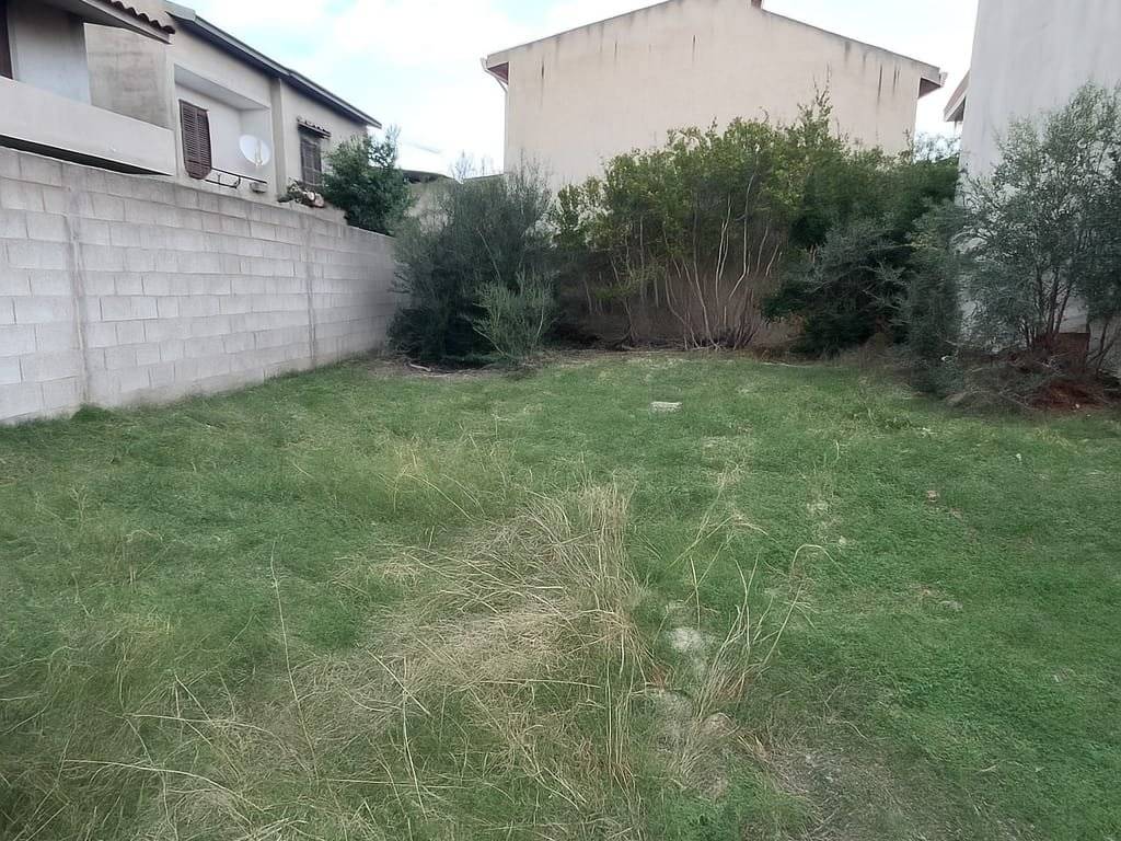 immagine annuncio 1 di 2