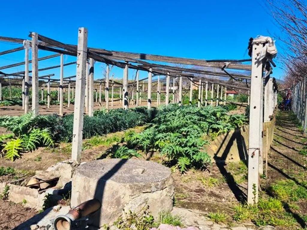 immagine annuncio 2 di 4