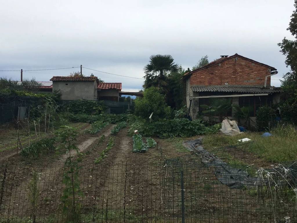 immagine annuncio 2 di 4