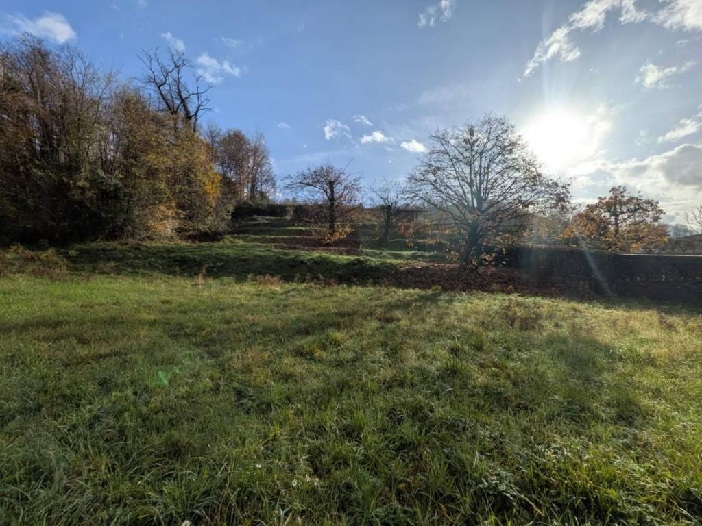 immagine annuncio 1 di 4