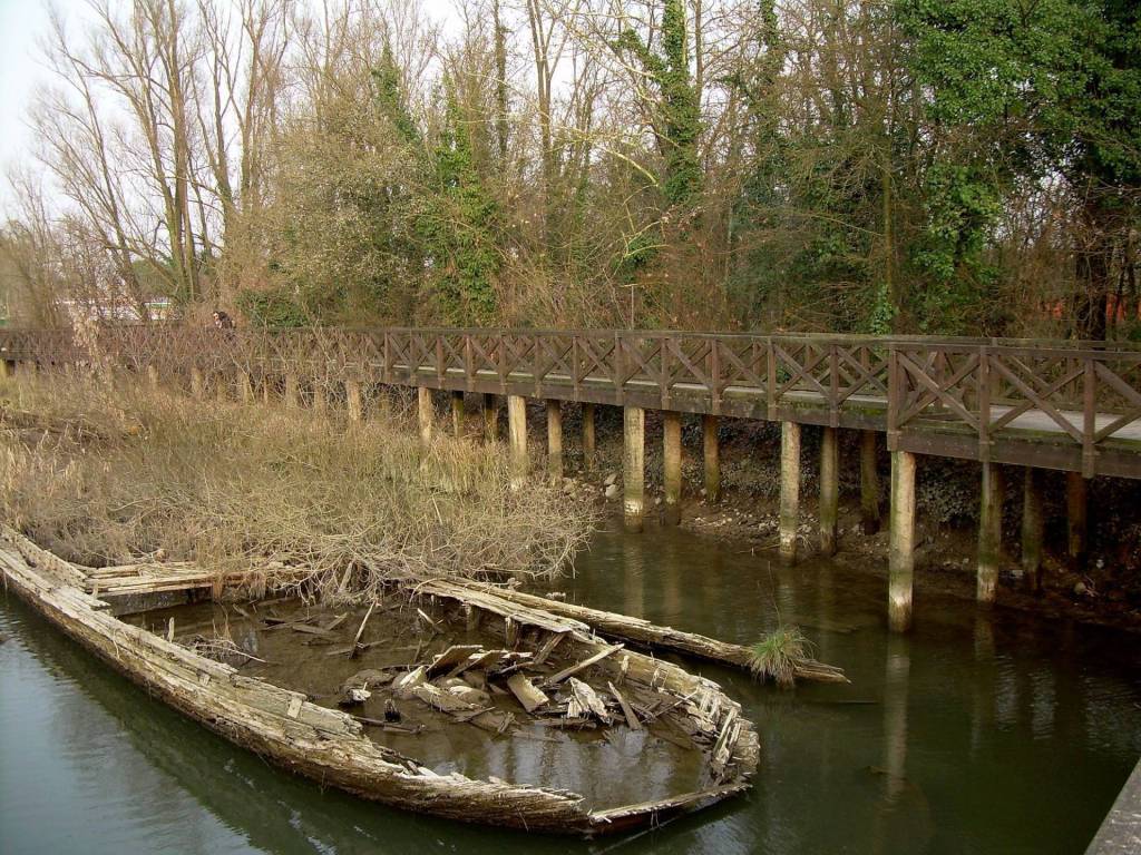 immagine annuncio 3 di 5