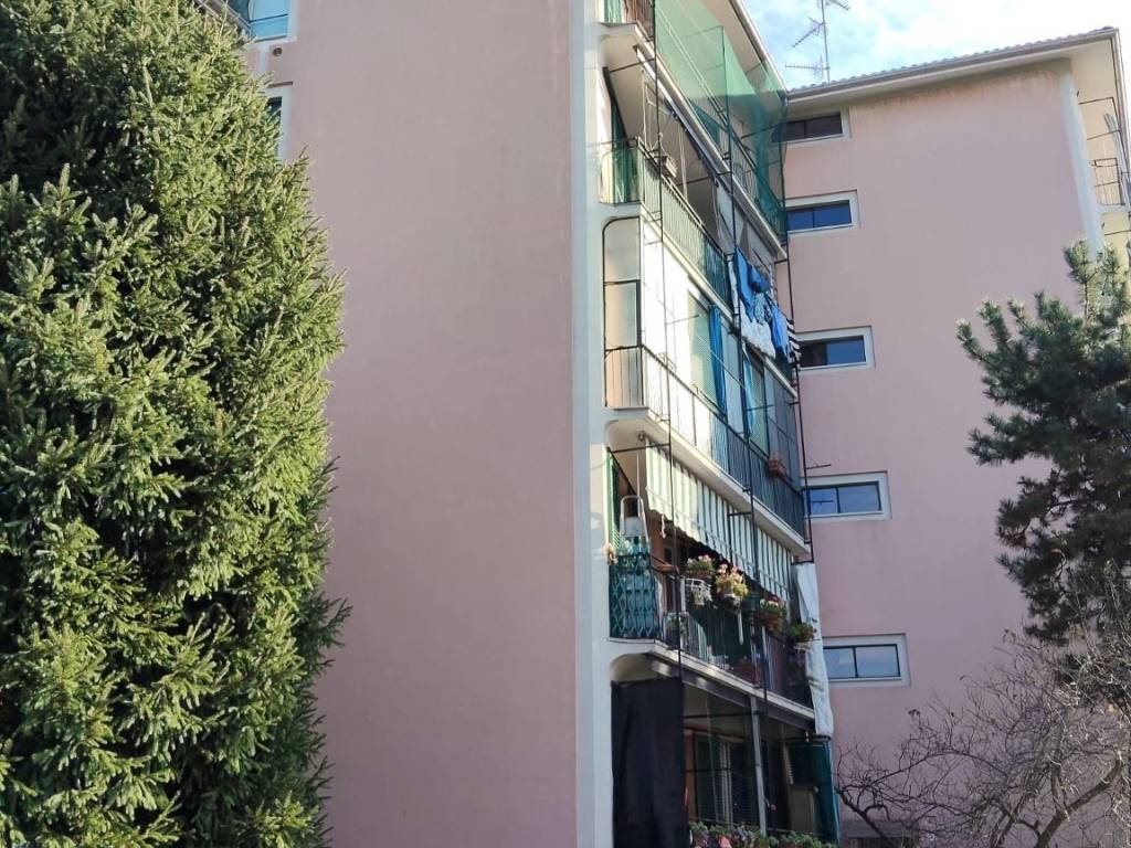 immagine annuncio 1 di 2