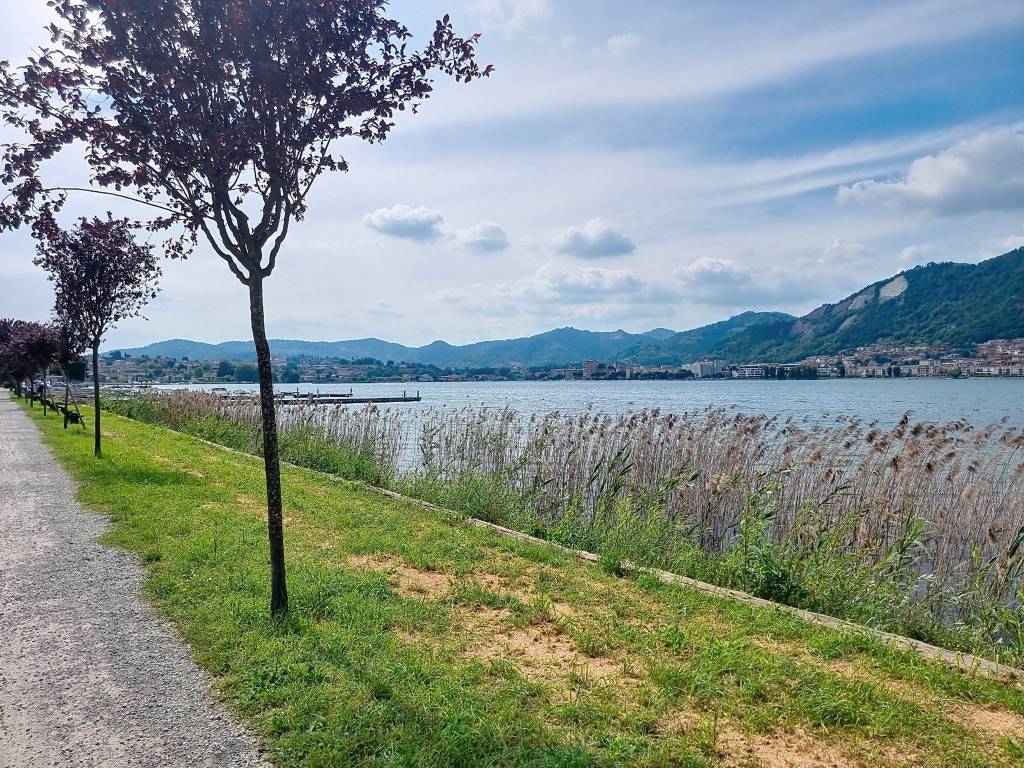 immagine annuncio 2 di 3