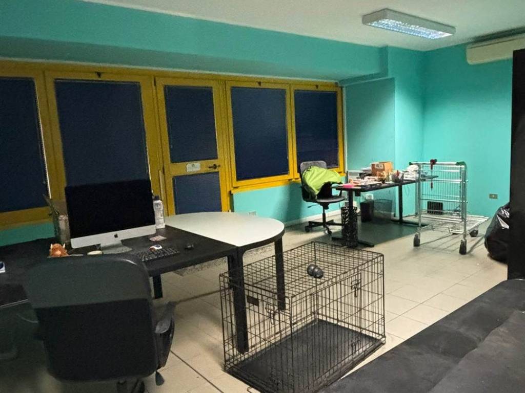 immagine annuncio 2 di 5