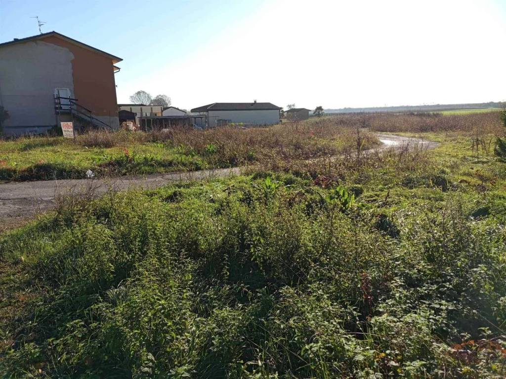 immagine annuncio 1 di 3