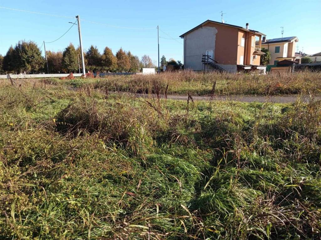 immagine annuncio 2 di 3