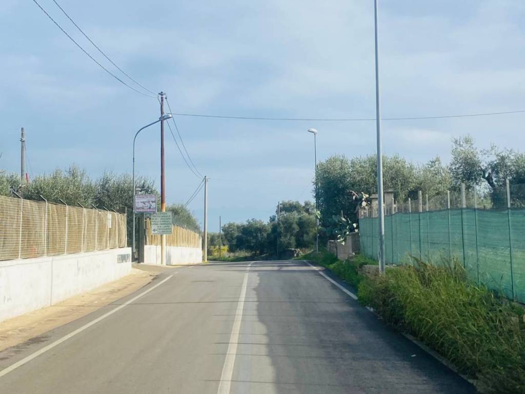 immagine annuncio 1 di 4