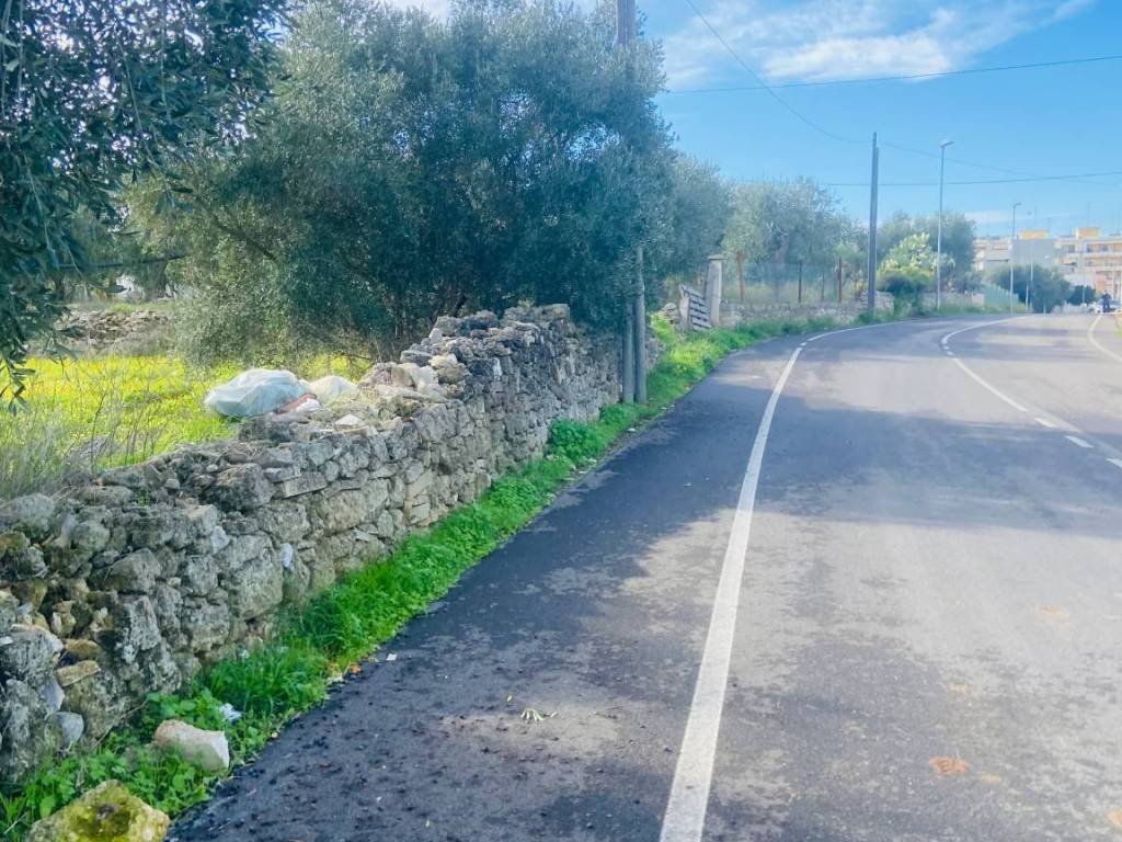 immagine annuncio 3 di 4