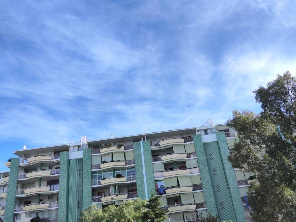 immagine annuncio 1 di 4