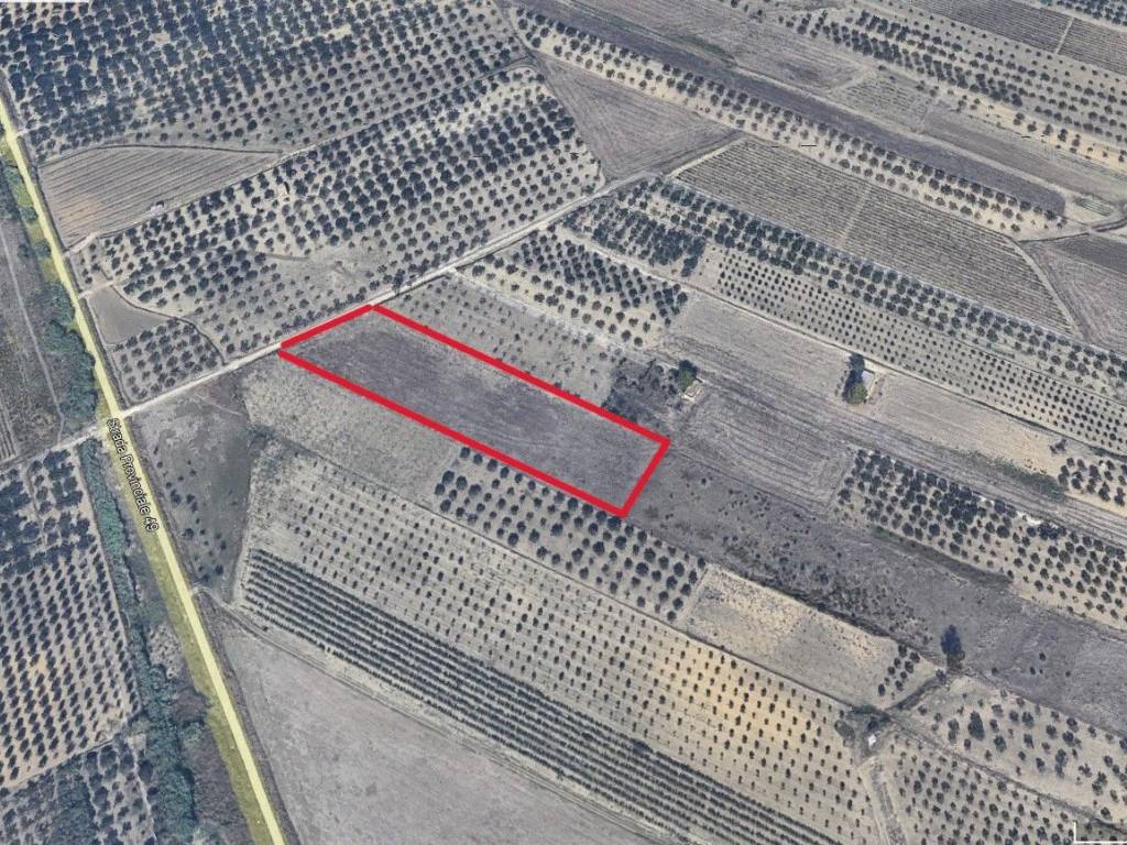 immagine annuncio 3 di 4