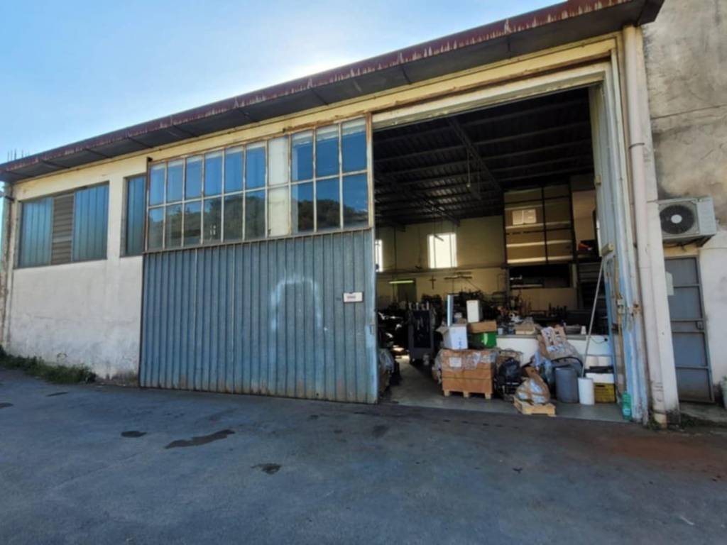 immagine annuncio 3 di 5