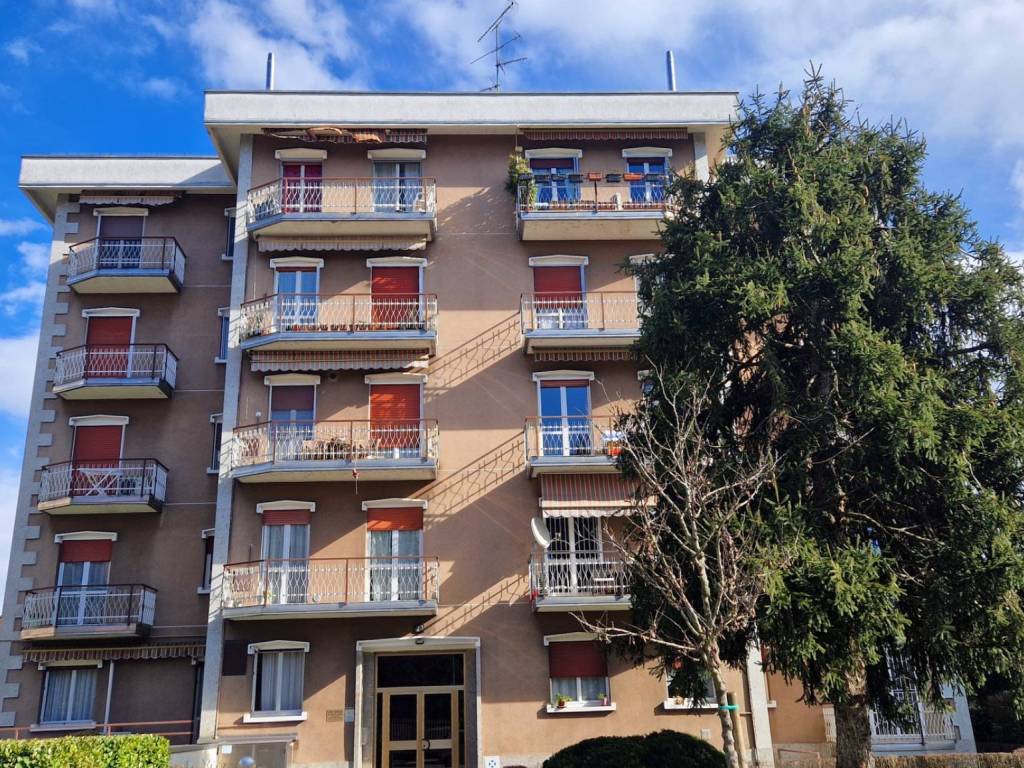 immagine annuncio 1 di 5