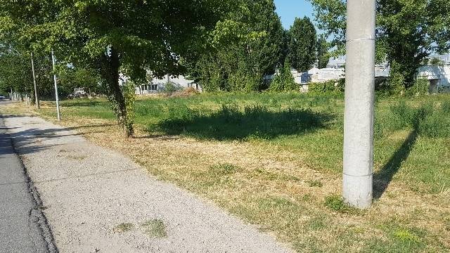 immagine annuncio 1 di 3