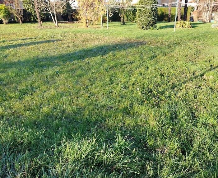 immagine annuncio 2 di 3