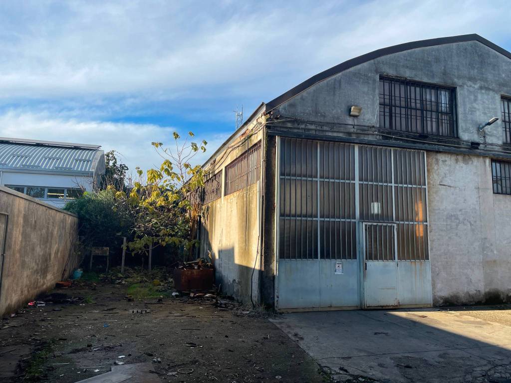 immagine annuncio 2 di 5