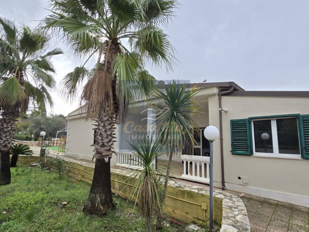 immagine annuncio 1 di 4