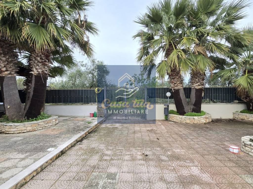 immagine annuncio 2 di 4