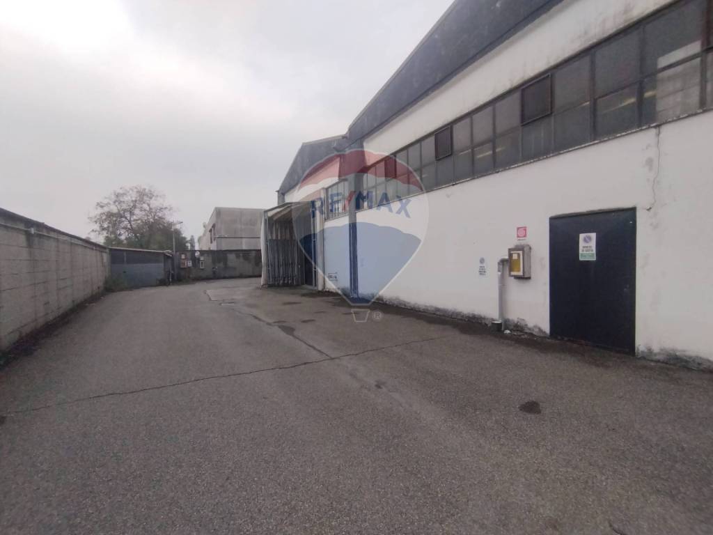 immagine annuncio 4 di 5