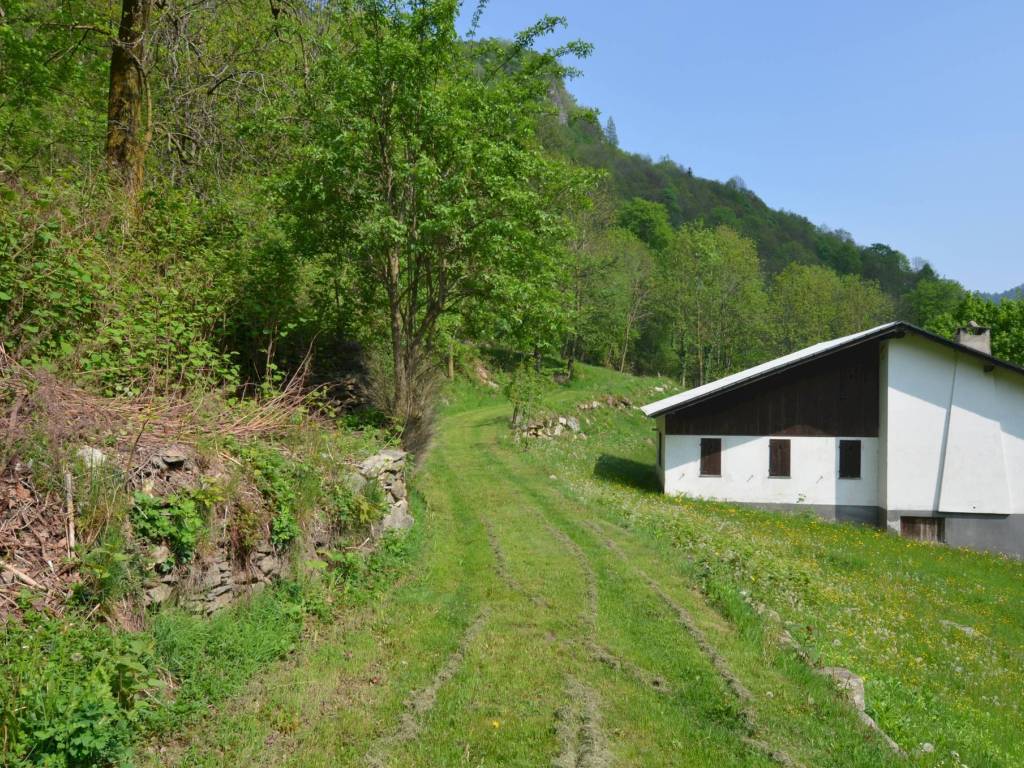 immagine annuncio 4 di 5