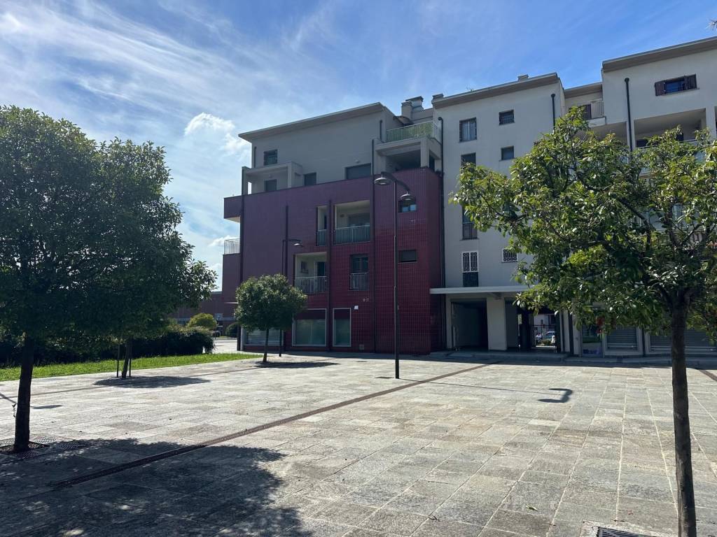 immagine annuncio 2 di 4