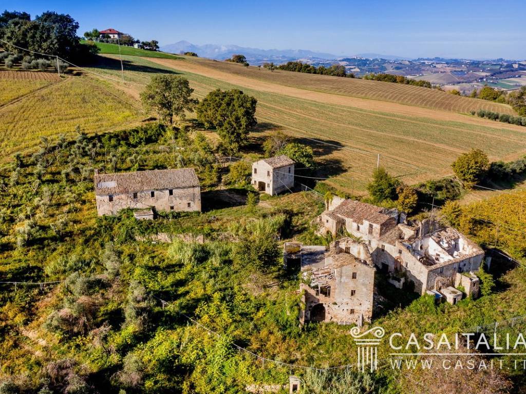 immagine annuncio 3 di 5