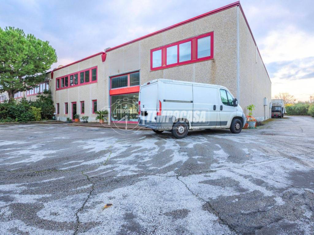 immagine annuncio 2 di 5