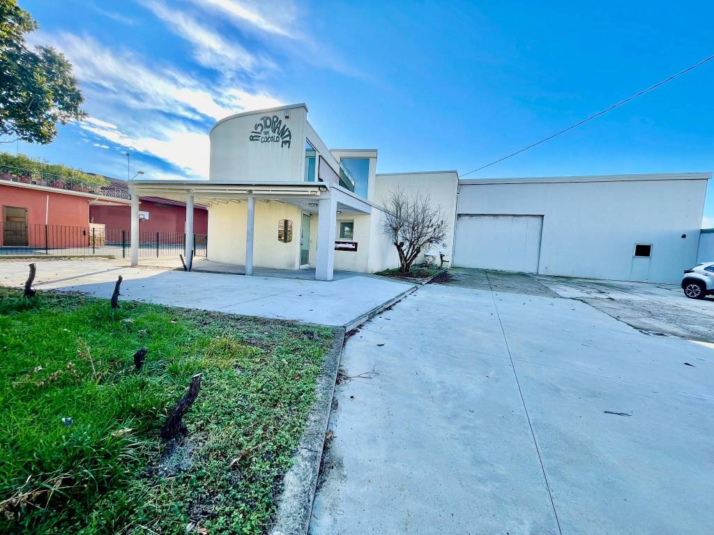 immagine annuncio 2 di 5