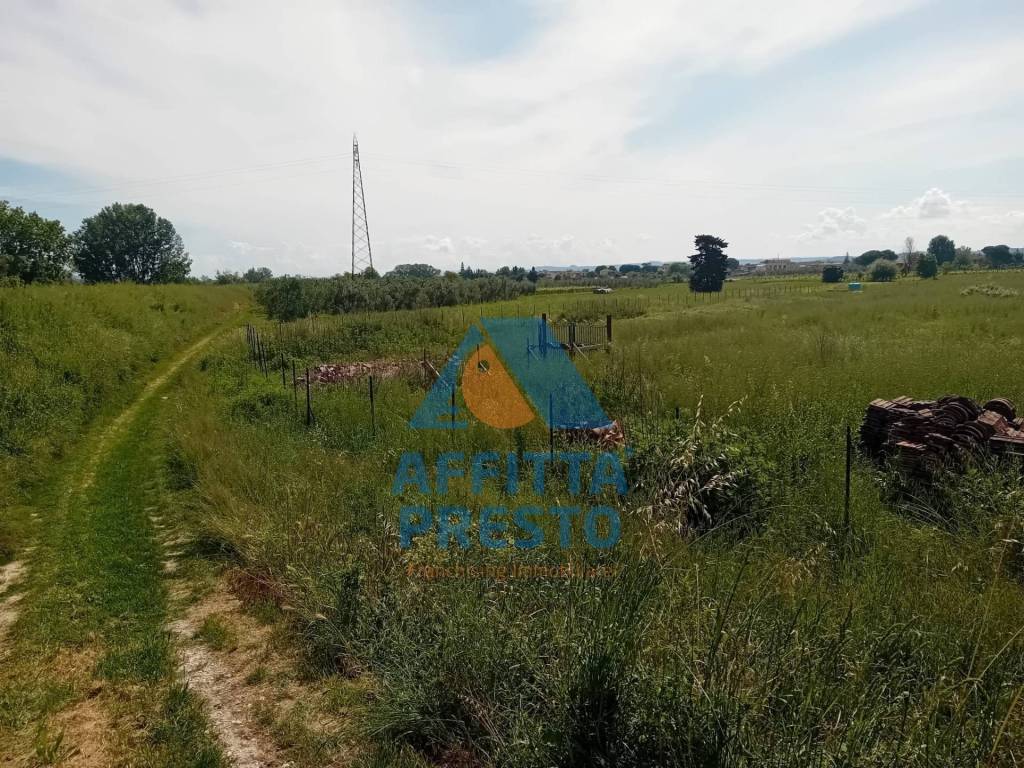 immagine annuncio 3 di 4