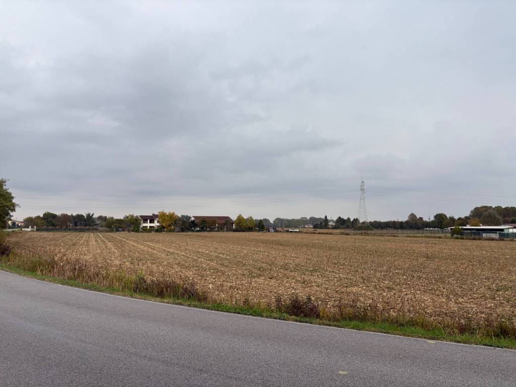 immagine annuncio 3 di 4