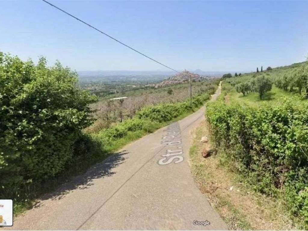 immagine annuncio 2 di 4