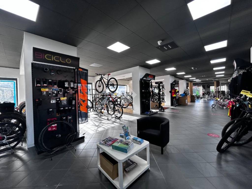 immagine annuncio 4 di 5