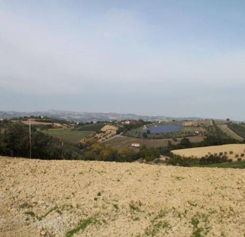 immagine annuncio 1 di 2