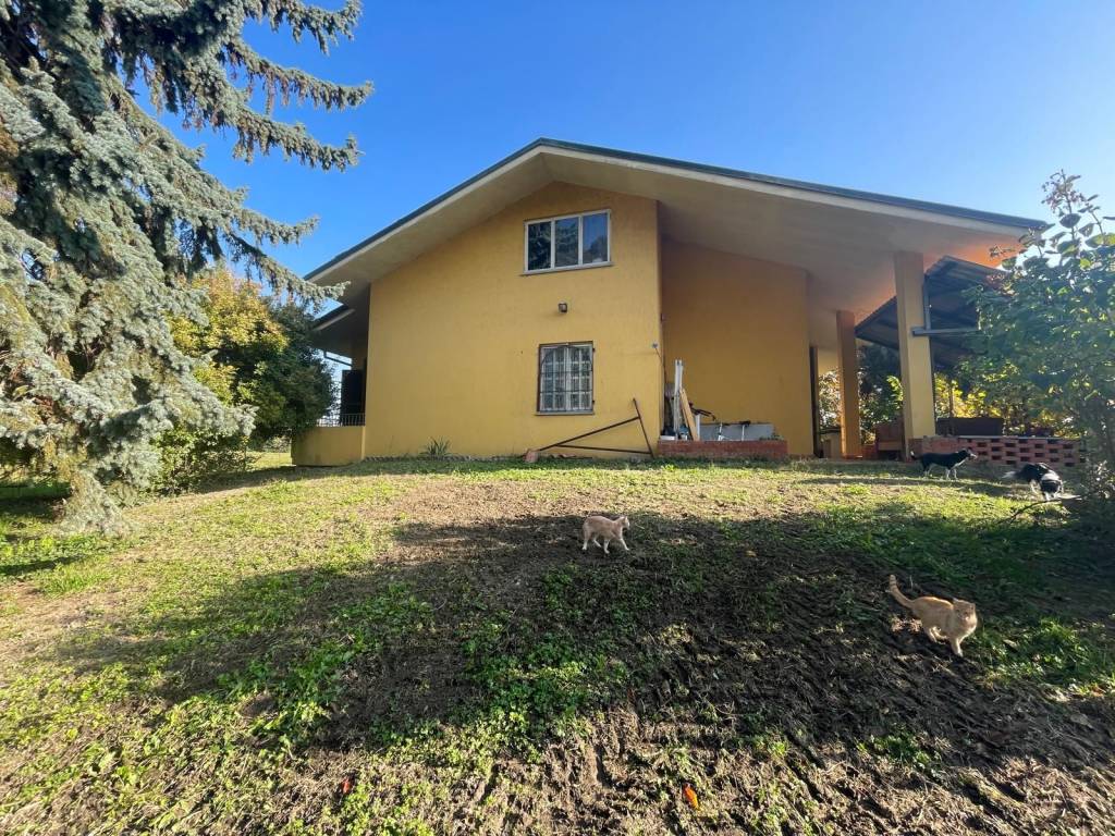 immagine annuncio 2 di 5