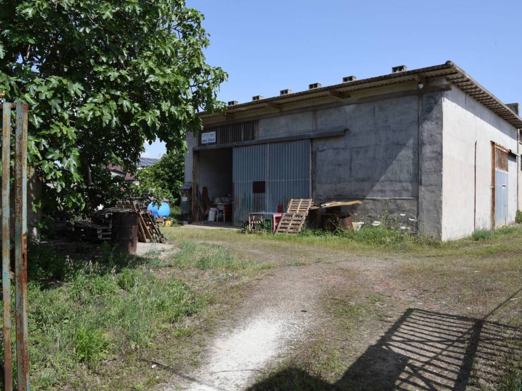 immagine annuncio 2 di 5