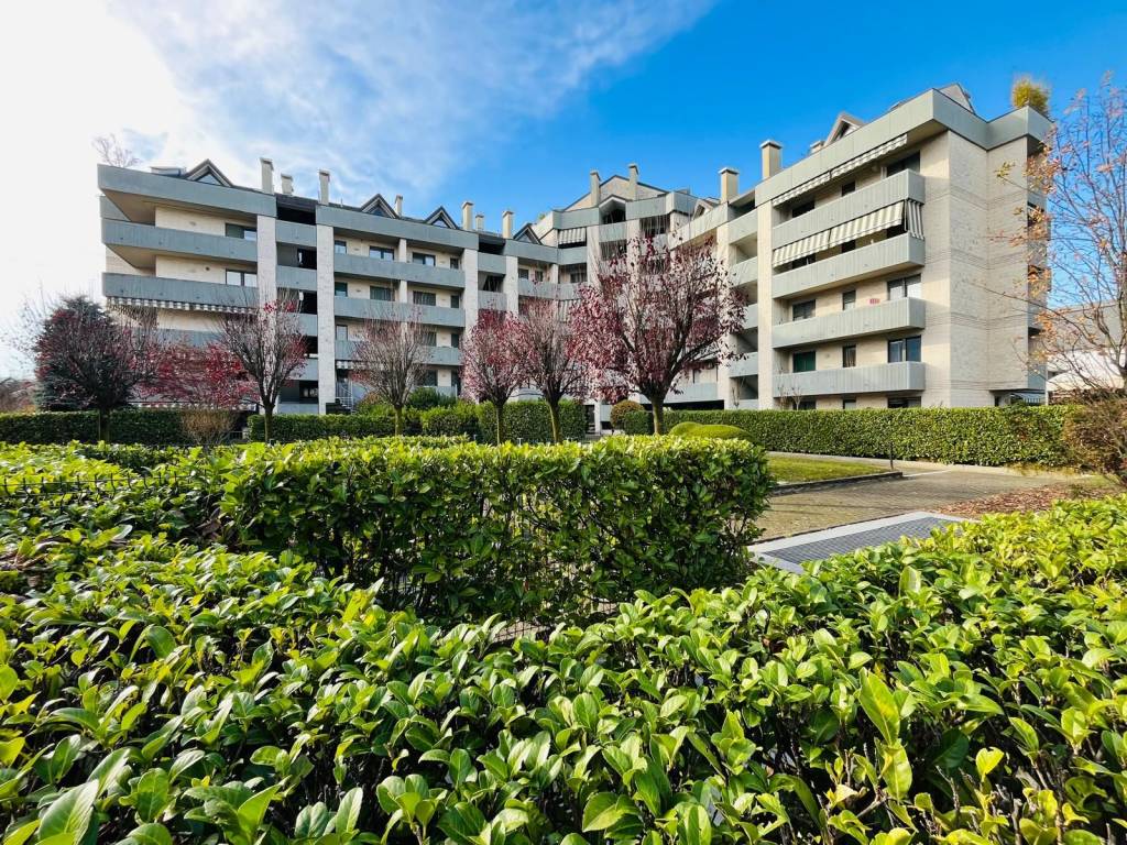 immagine annuncio 2 di 5