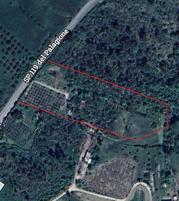 immagine annuncio 3 di 4